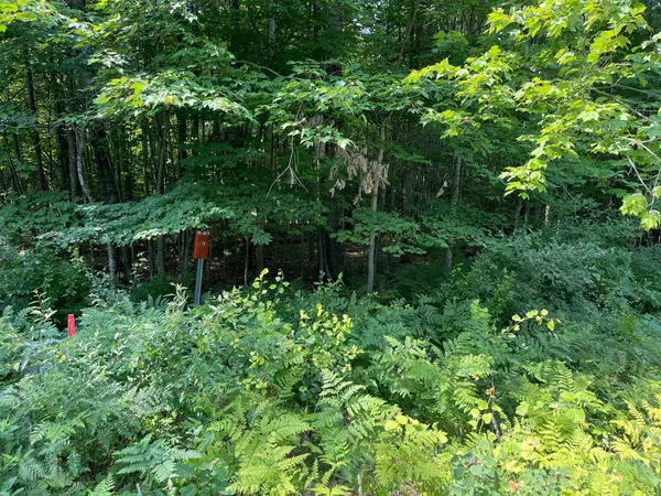 Houghton Lake, MI 48629,75 Hidden Hills RD Road