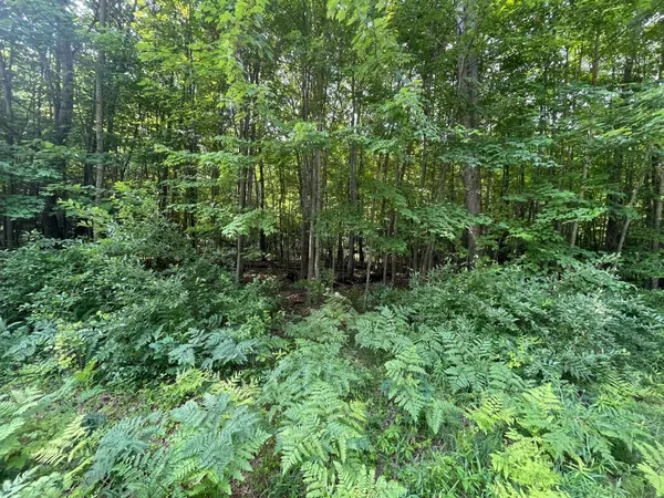 Houghton Lake, MI 48629,75 Hidden Hills RD Road