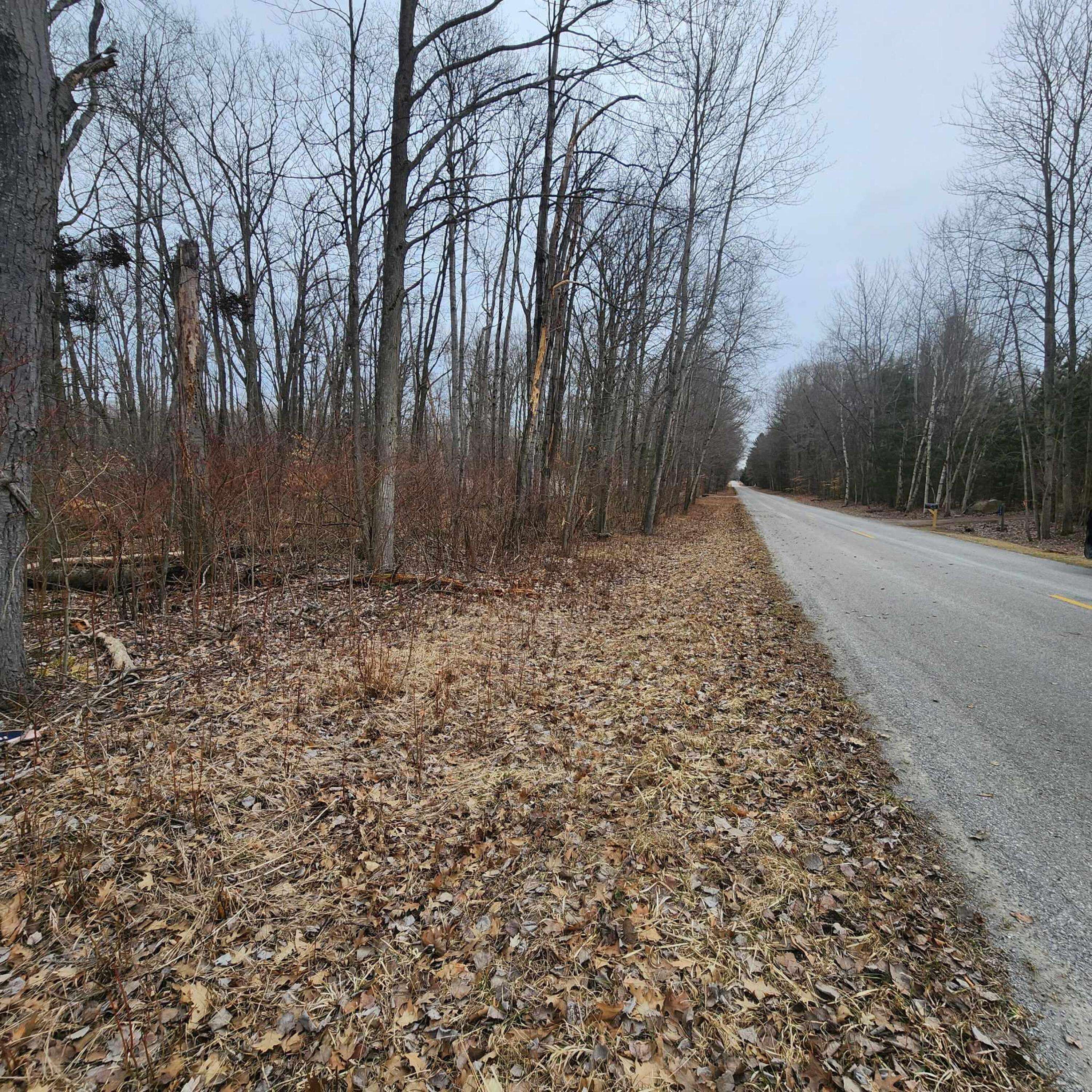 Greenbush, MI 48738,Poor Farm RD Road