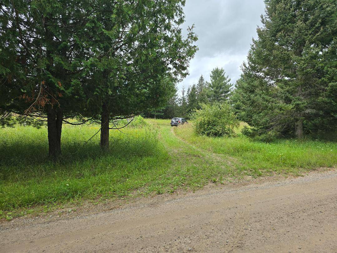 Mielke RD Road, Hawks, MI 49743