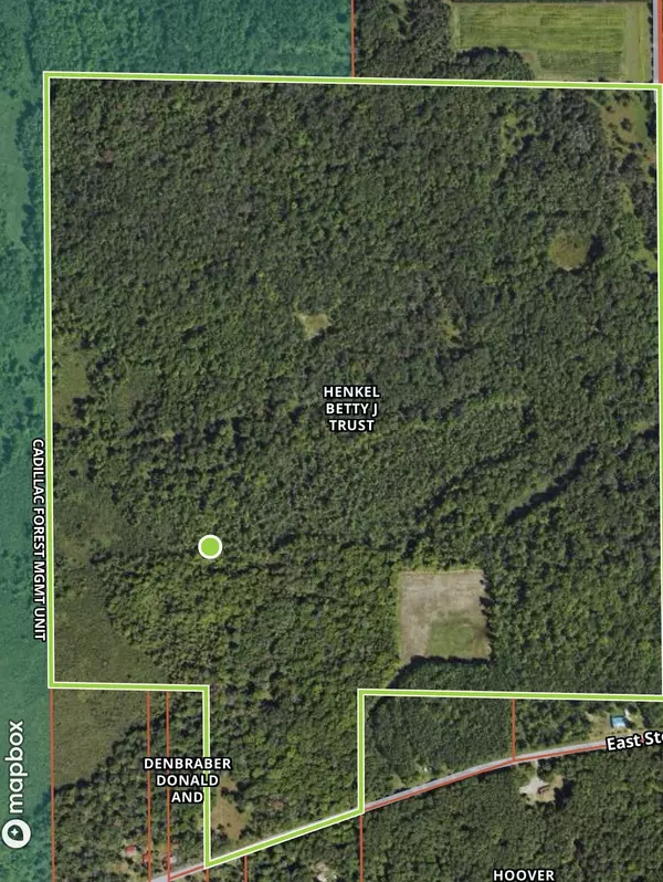 Falmouth, MI 49632,V/L E Stony Corners RD Road