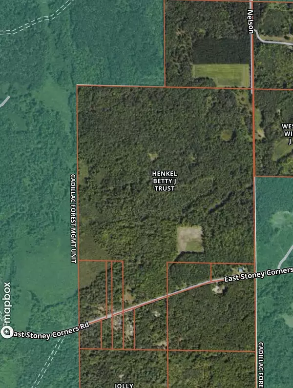 V/L E Stony Corners RD Road, Falmouth, MI 49632