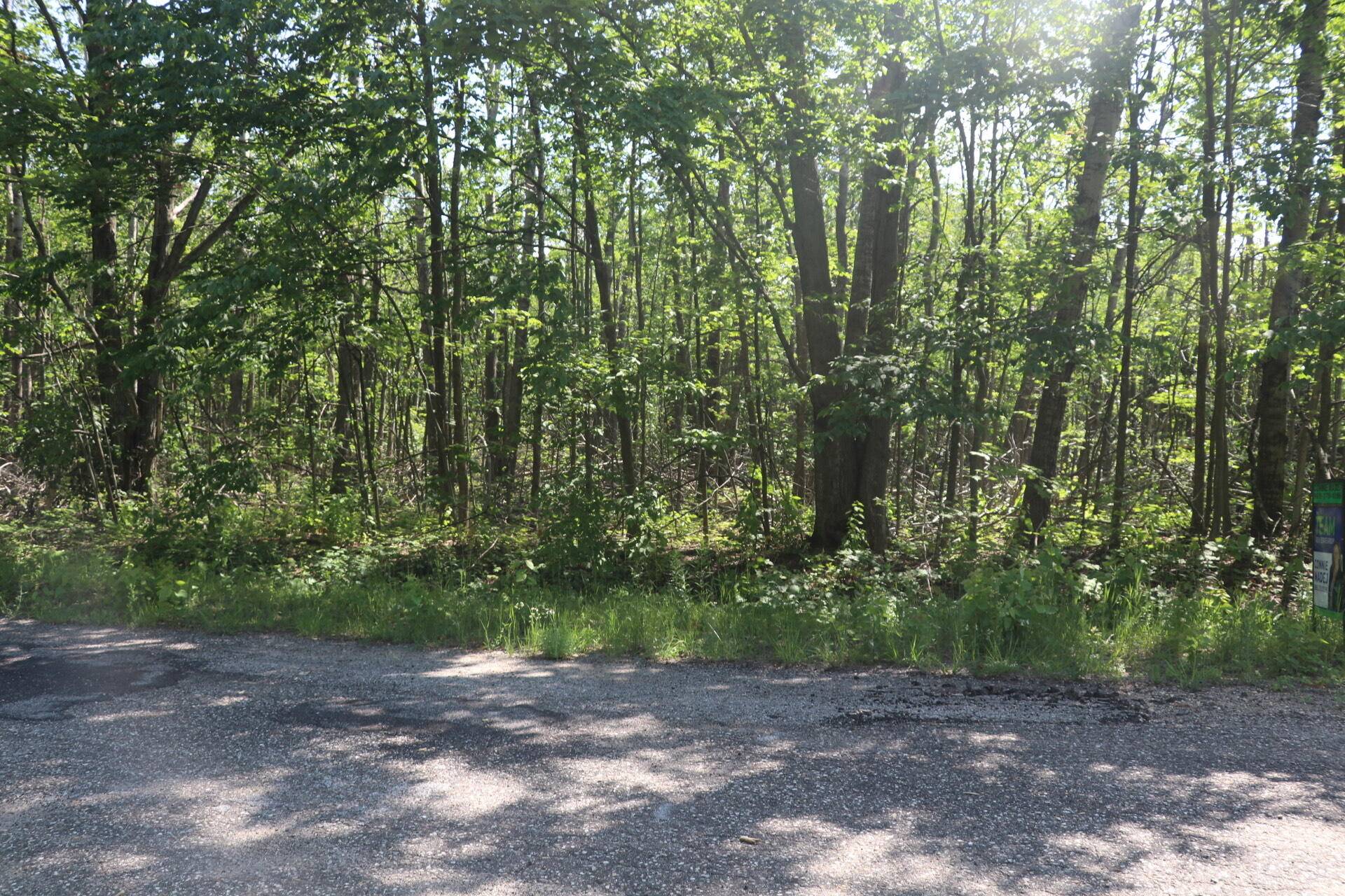 Laming Circle, Elmira, MI 49730