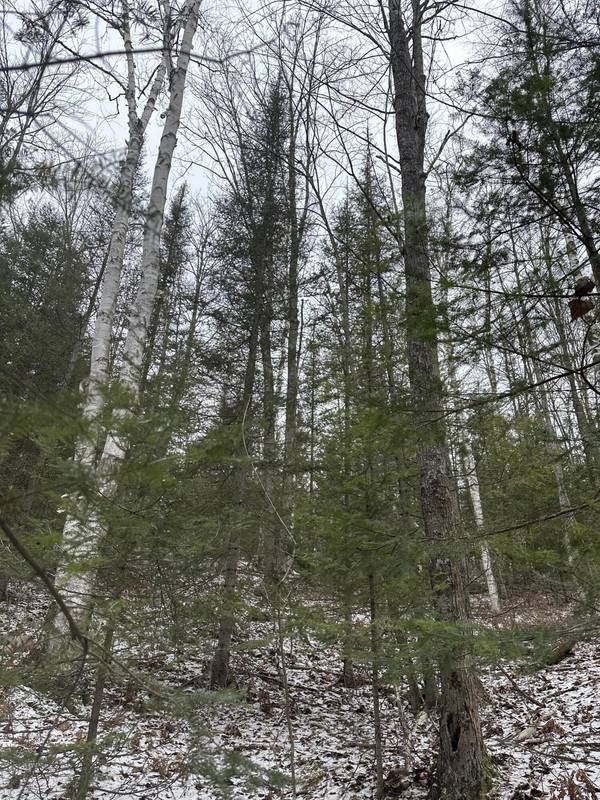 18335 Pleasant Valley Road RD Road, Atlanta, MI 49709