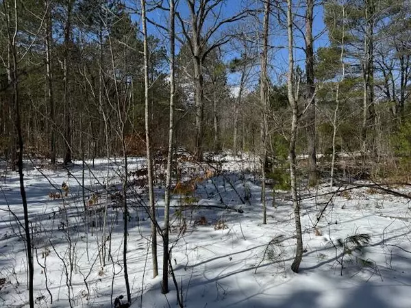 Naubinway, MI 49762,Lots 58-59 E Beach Rd