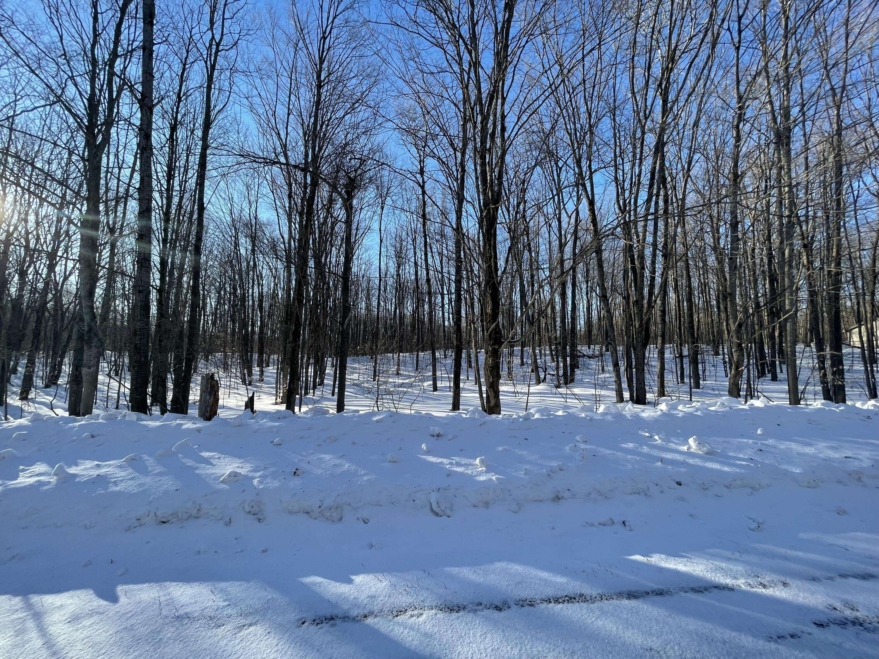LOT 281 Acacia DR Drive, Mancelona, MI 49659