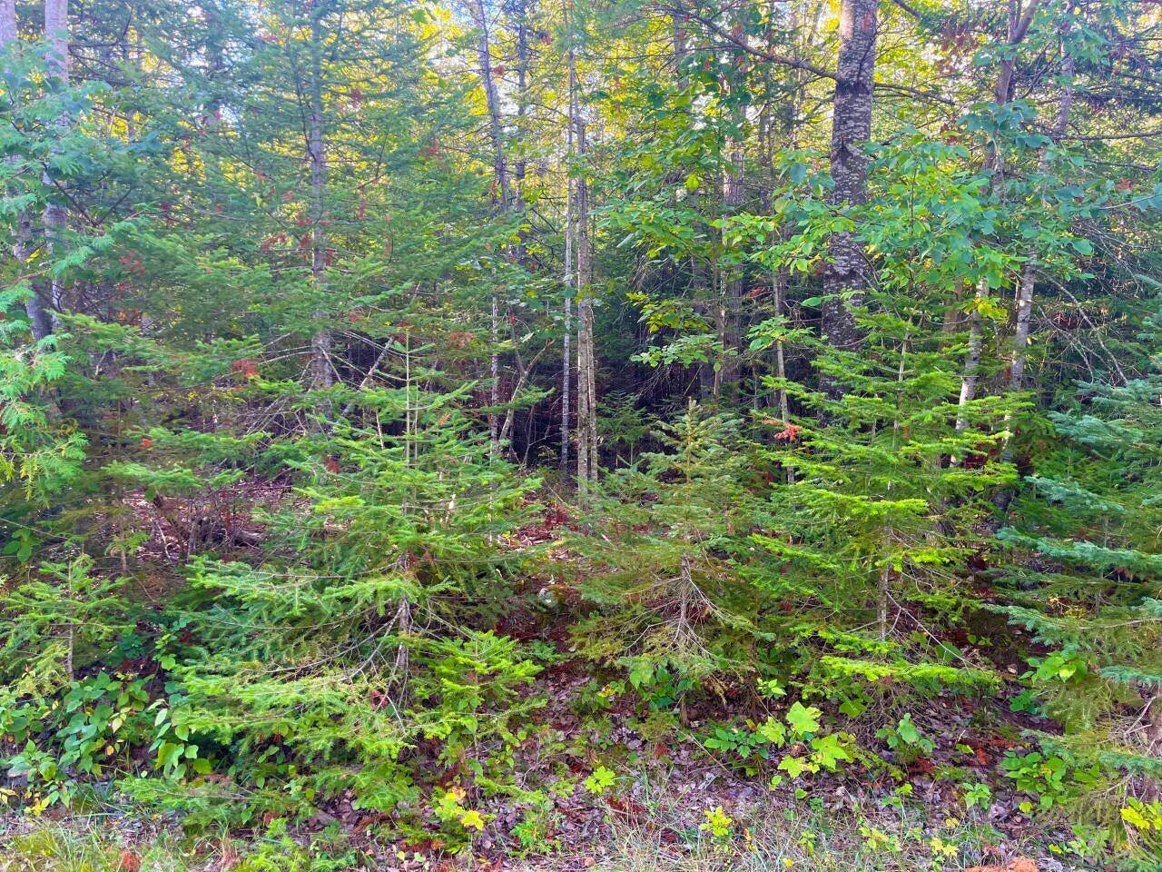 Renwick CIR Circle, Presque Isle, MI 49777