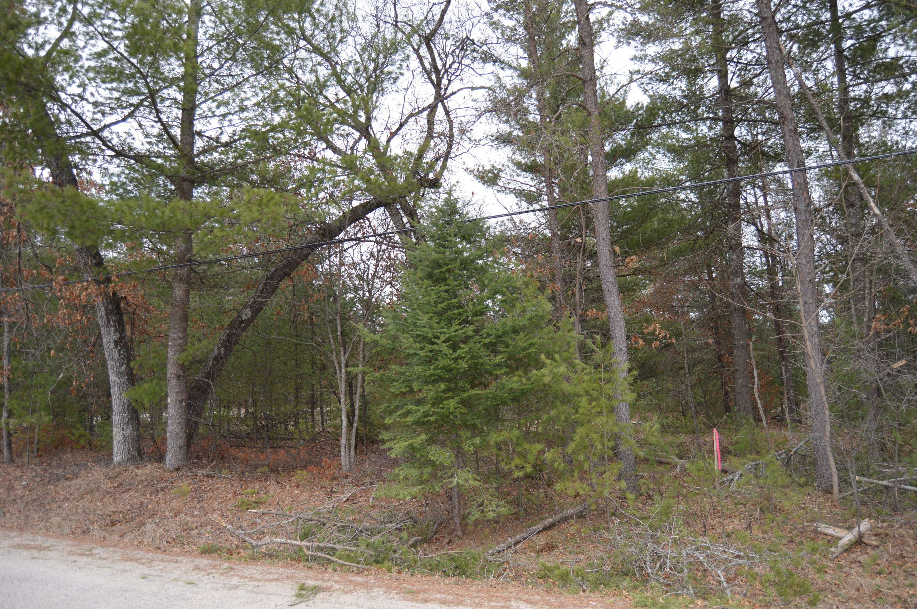 Lot #28 E Arthur Randall ST Street, Mio, MI 48647