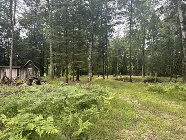 Prescott, MI 48756,3640 Stephanie TRL Trail