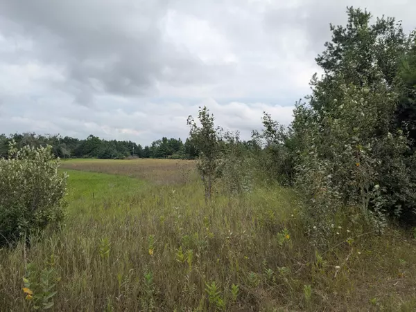 V/L 1AC S River RD Road,  Cheboygan,  MI 49721