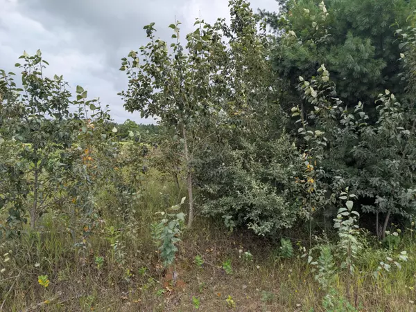 Cheboygan, MI 49721,V/L 1AC S River RD Road