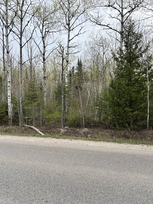 13496 N Mackinaw HWY Highway, Mackinaw City, MI 49701