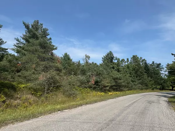 VL Oley Lake RD Road, Gaylord, MI 49735