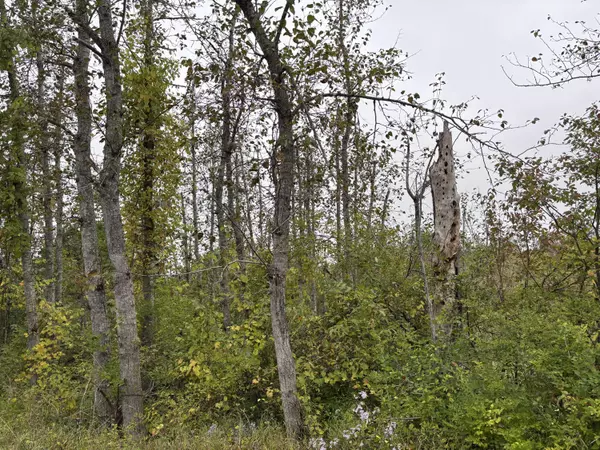 Rogers City, MI 49779,V/L 40+-AC Quade HWY Highway