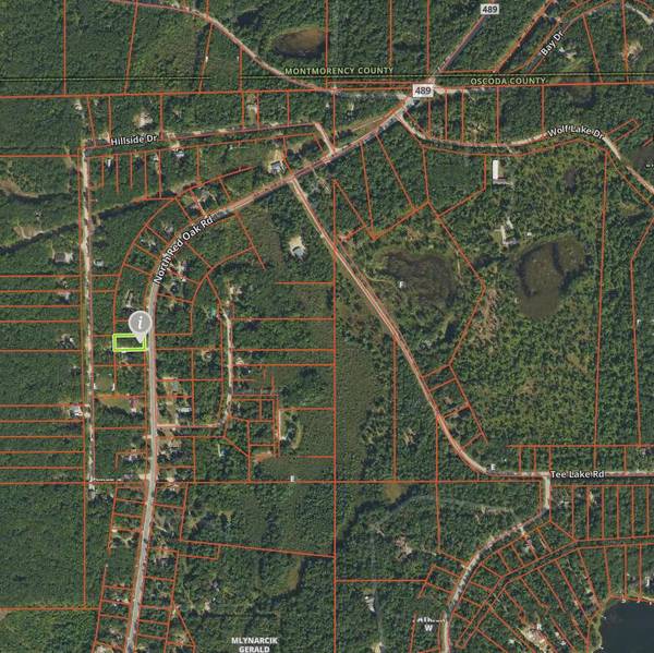 5839 N Red Oak RD Road, Lewiston, MI 49756