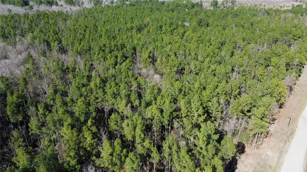 Lovelady, TX 75851,3012 PR 8160