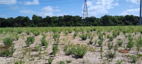 Santa Fe, TX 77517,15510 Pinehurst Lane