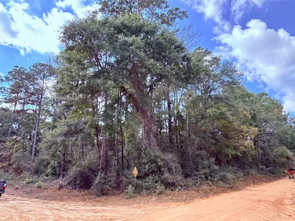 Livingston, TX 77351,0 Warpath DR