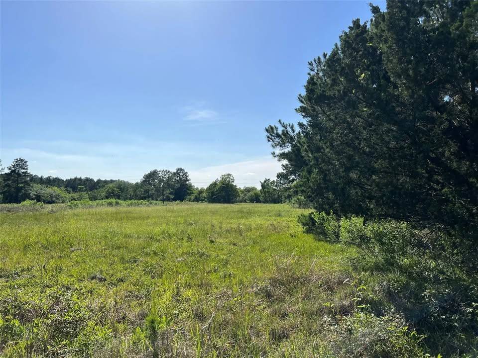 Humble, TX 77346,0 Moonshine Hill RD