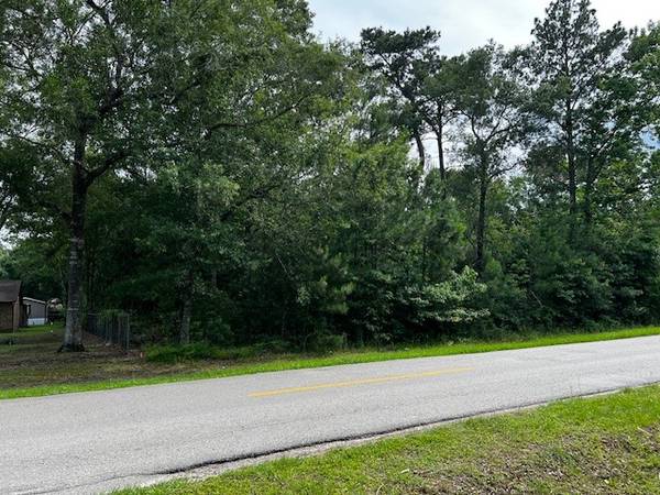 unassigned Laura Lane, New Caney, TX 77357