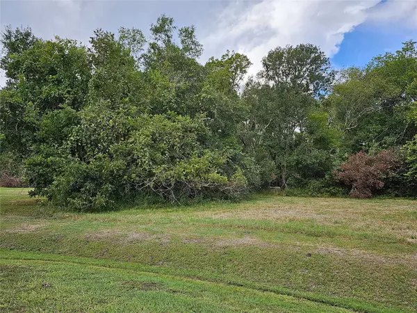 Angleton, TX 77515,1050 Winchester Trail