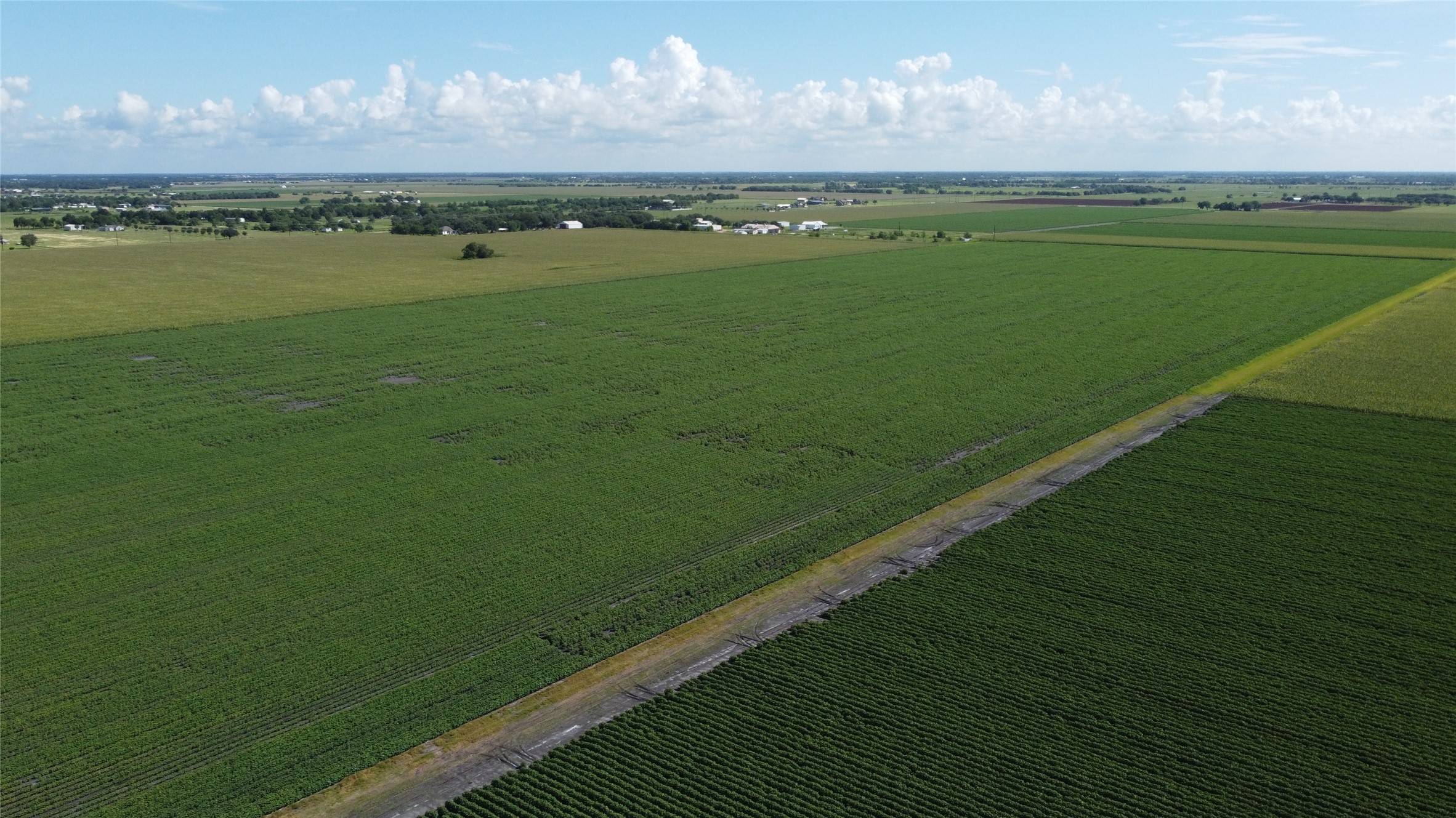 Needville, TX 77461,0 Williams School RD