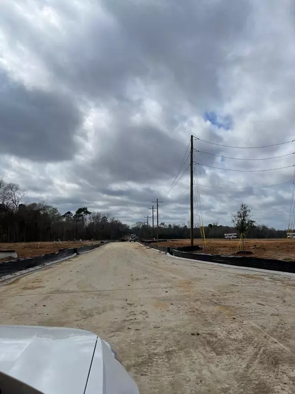 Willis, TX 77318,11986 Wisteria Meadows DR