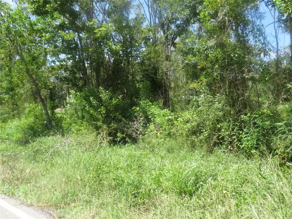 Sweeny, TX 77480,782 C County Rd 728