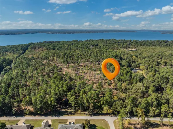 Flint, TX 75762,Lot 3 Pintail DR