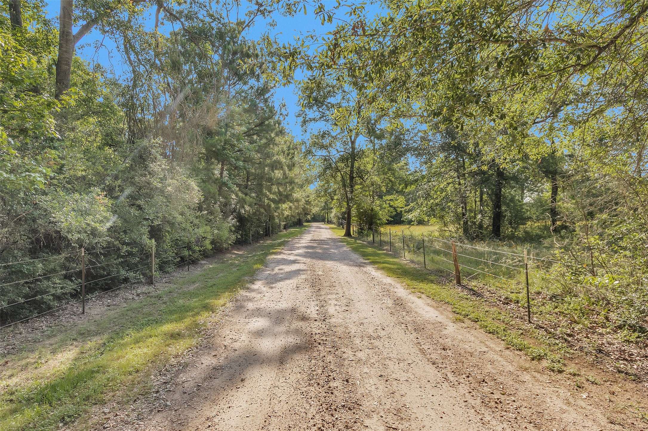 Willis, TX 77378,11580 Farrell RD
