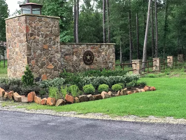 New Waverly, TX 77358,0000 Brahman LN