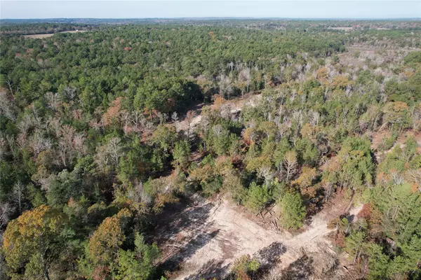 Grapeland, TX 75844,TBD CR 2300