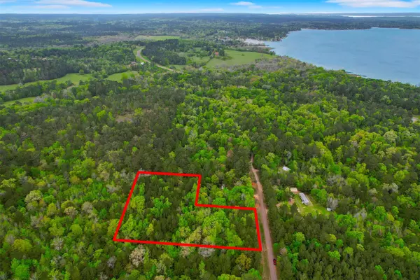 433 Saddle Surrey LN, Coldspring, TX 77331