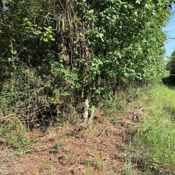Trinity, TX 75862,TBD Hard Rock Ln DR