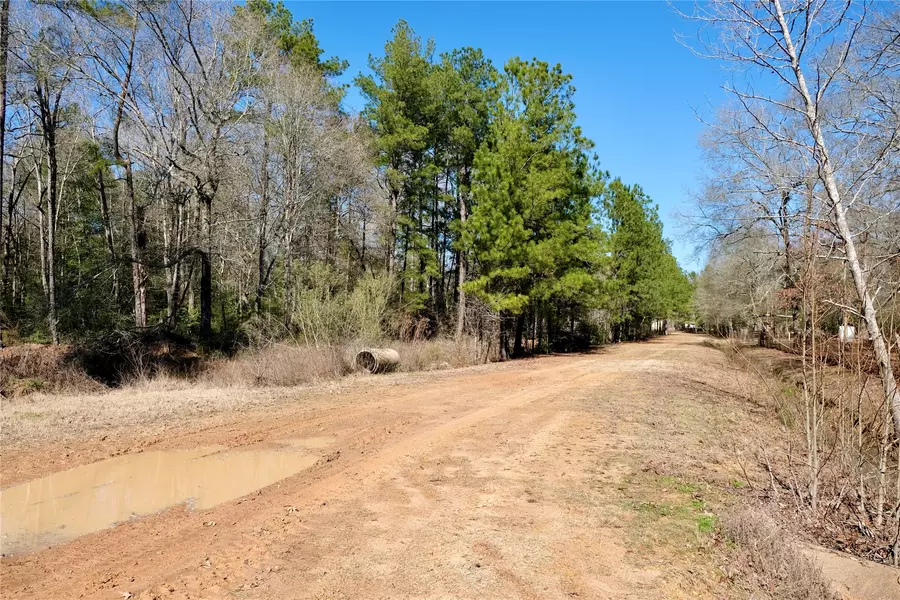 802 Bayou Oaks ST, Cleveland, TX 77328