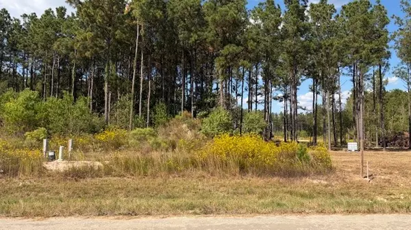 Cleveland, TX 77327,1365 Road 5890