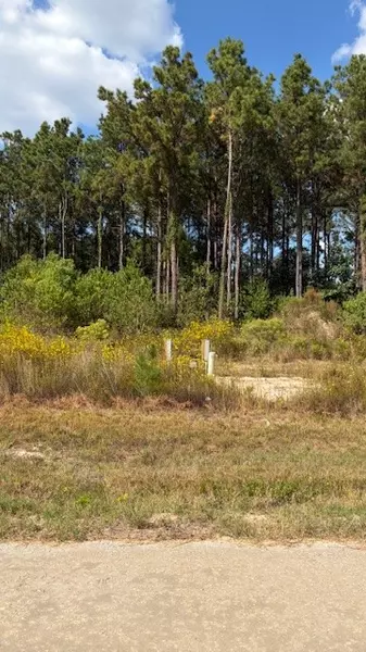 1365 Road 5890, Cleveland, TX 77327