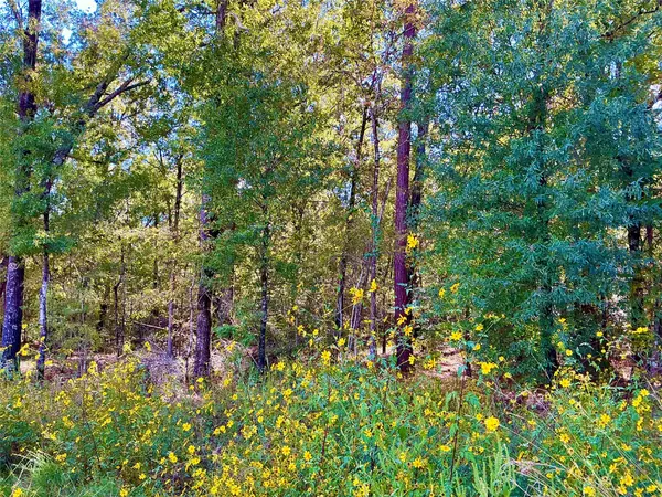 Livingston, TX 77351,TBA Wendy Way WAY