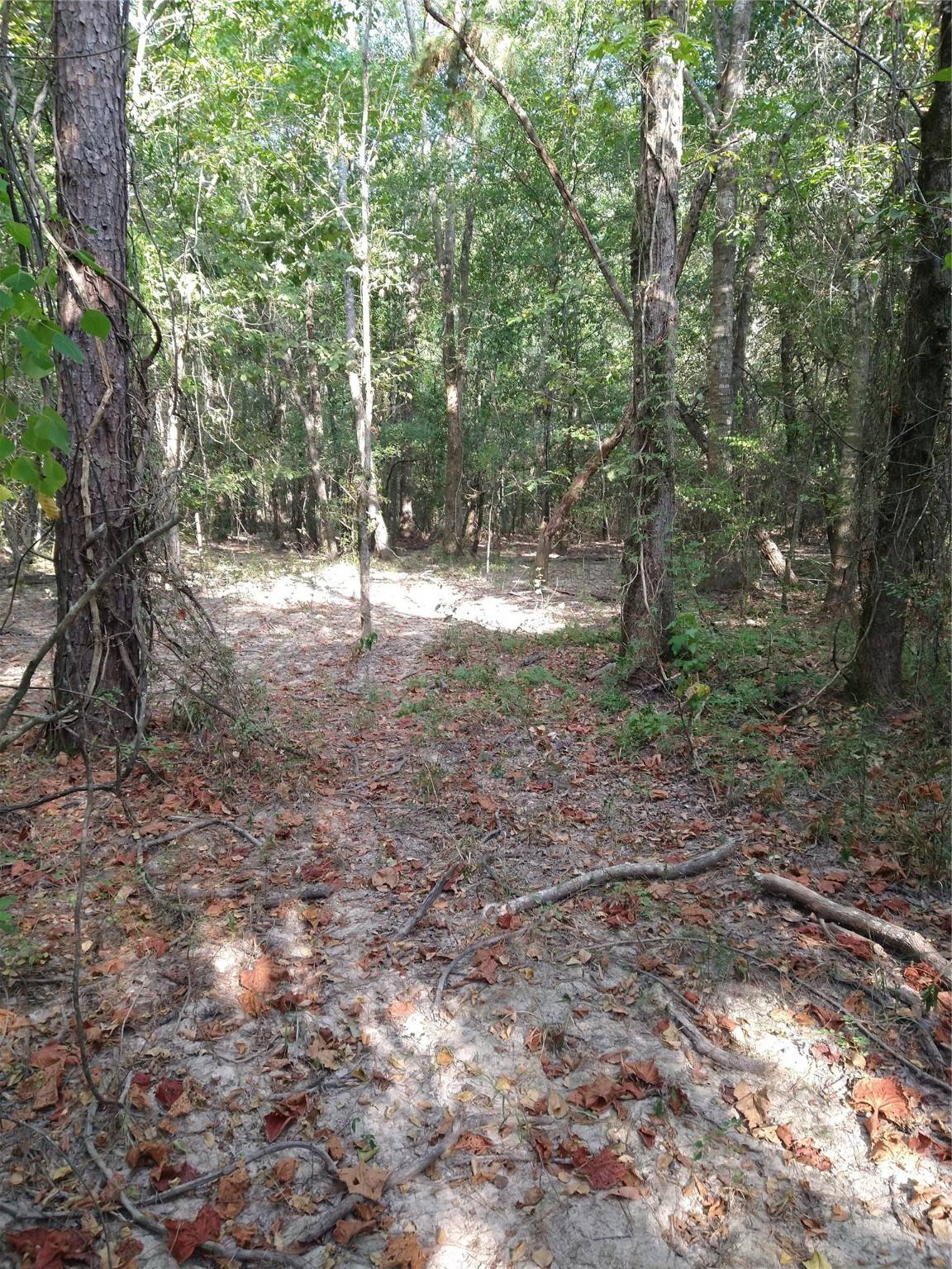 Cleveland, TX 77327,986 County Road 325