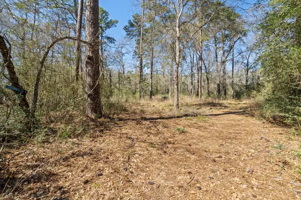 Magnolia, TX 77355,26760 Sandy CRK