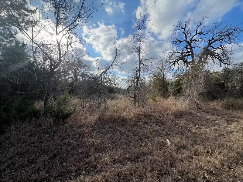 TBD Iron Bridge RD, Burton, TX 77835