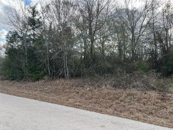 Burton, TX 77835,TBD Iron Bridge RD