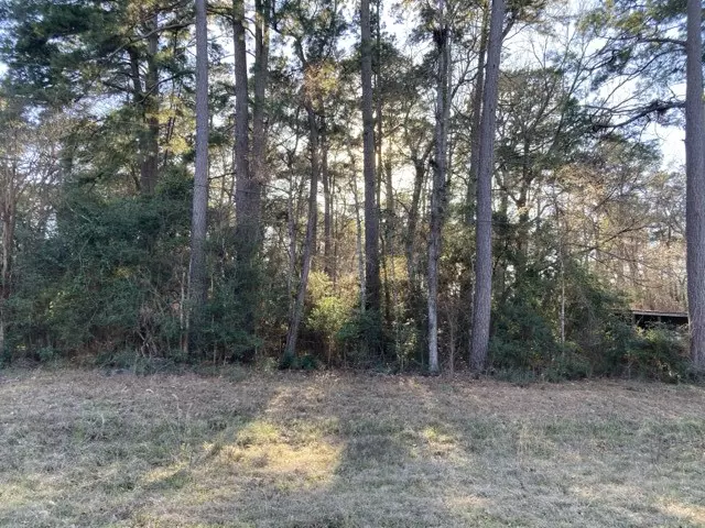 Point Blank, TX 77364,TBD Robinson WAY
