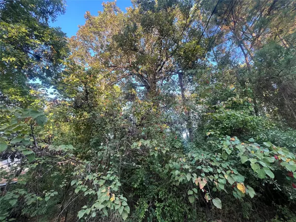 Willis, TX 77318,Lot 67, 68 Vistawood