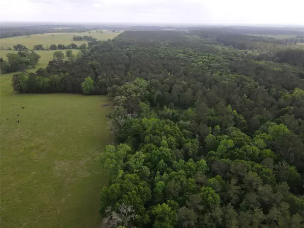 Crockett, TX 75835,TBD FM 2110