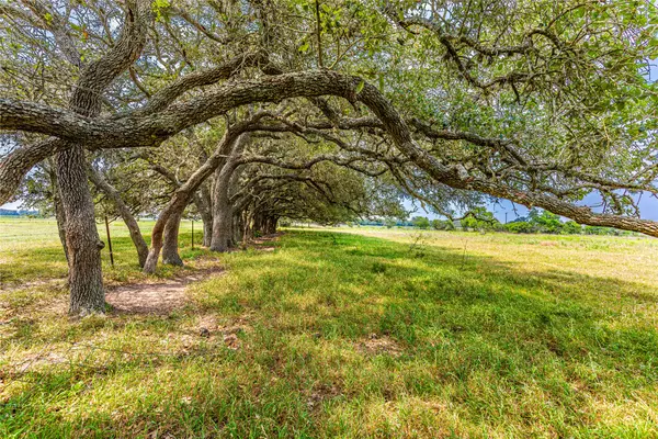 2948 County Road 106, Columbus, TX 78934