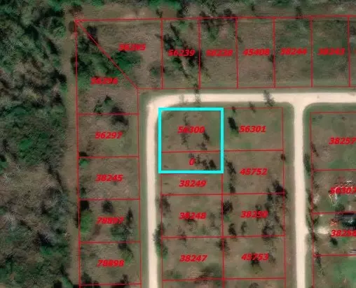 TBD Falcon PT, Onalaska, TX 77360