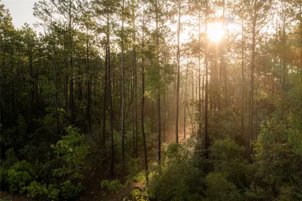 New Waverly, TX 77358,108 Romantic Dreams CT