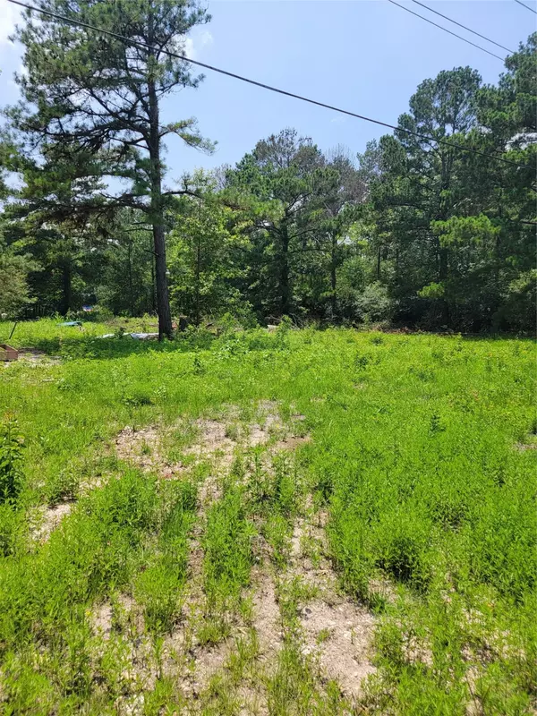 2787 Mangum RD, Livingston, TX 77351