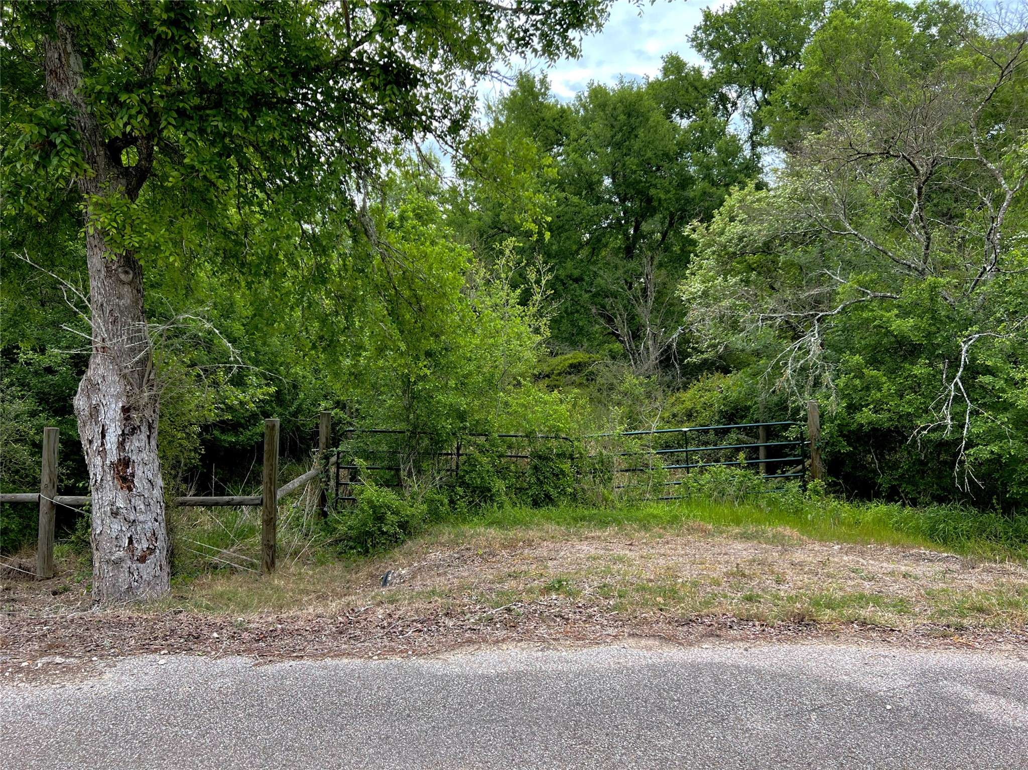 Address Not Disclosed